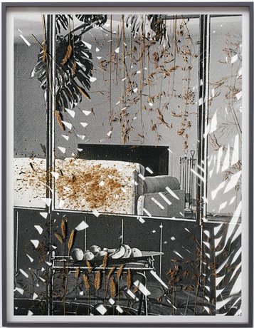 Matthew Porter Image
