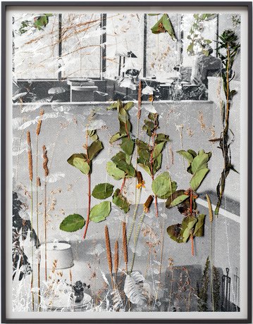 MATTHEW PORTER Image